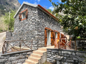 Traditional House